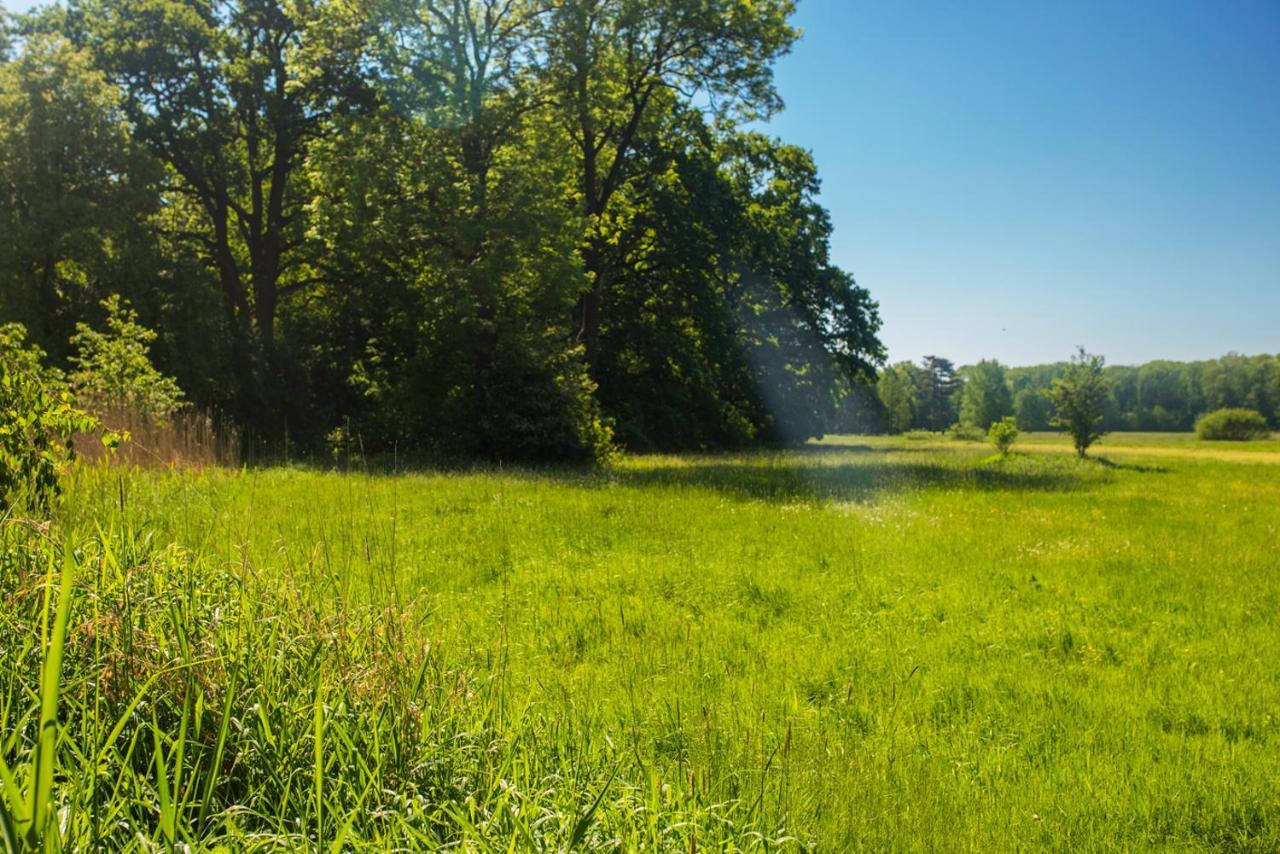 Palac Krobielowice Конты-Вроцлавске Экстерьер фото