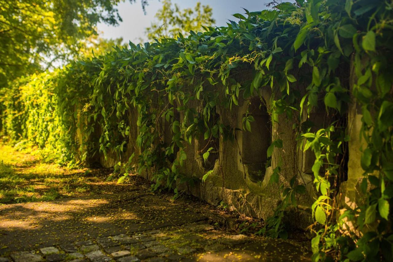 Palac Krobielowice Конты-Вроцлавске Экстерьер фото